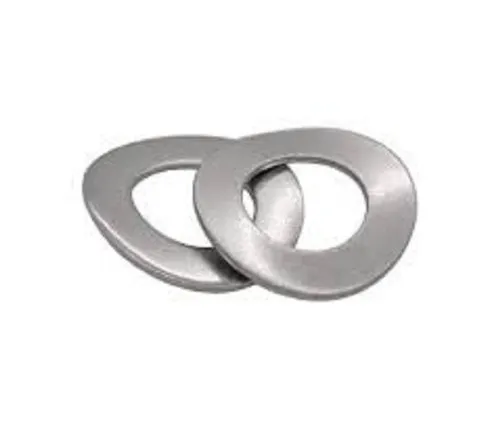 Curved Wave Washer